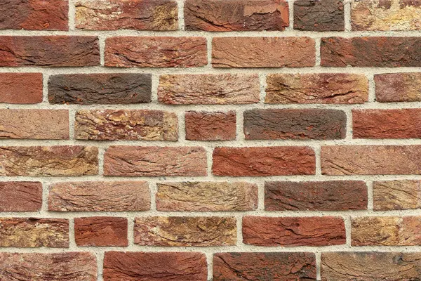 Донские Зори Екатерининское 215*102*65 W159